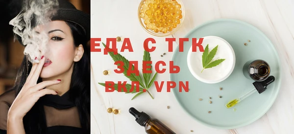гидра Богородск