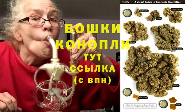 гидра Богородск