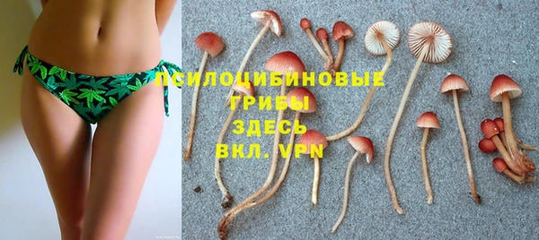 кокаин премиум Белокуриха